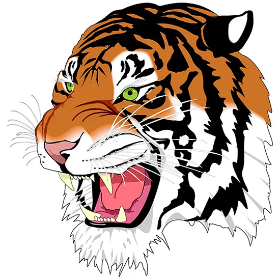 Mansfield Tygers Football