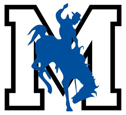Mifflin Punchers Football