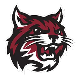 Newark Wildcats Football